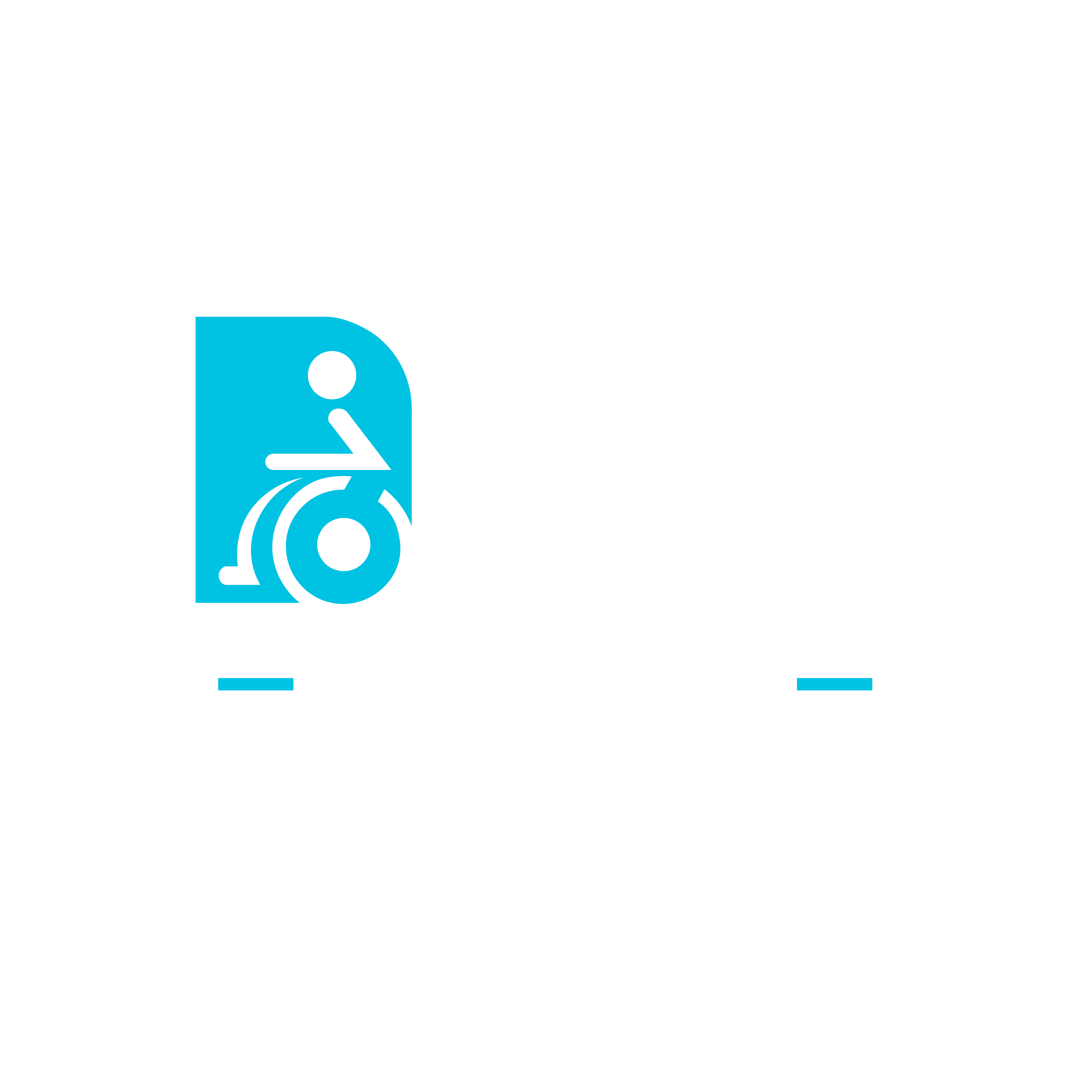 Dans Wheel Guide